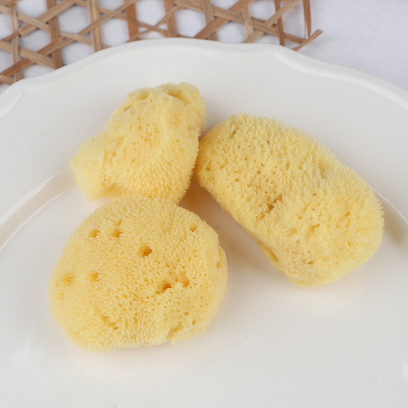 Special Texture Production Cle - đánh giá và giá Eco Sponge
