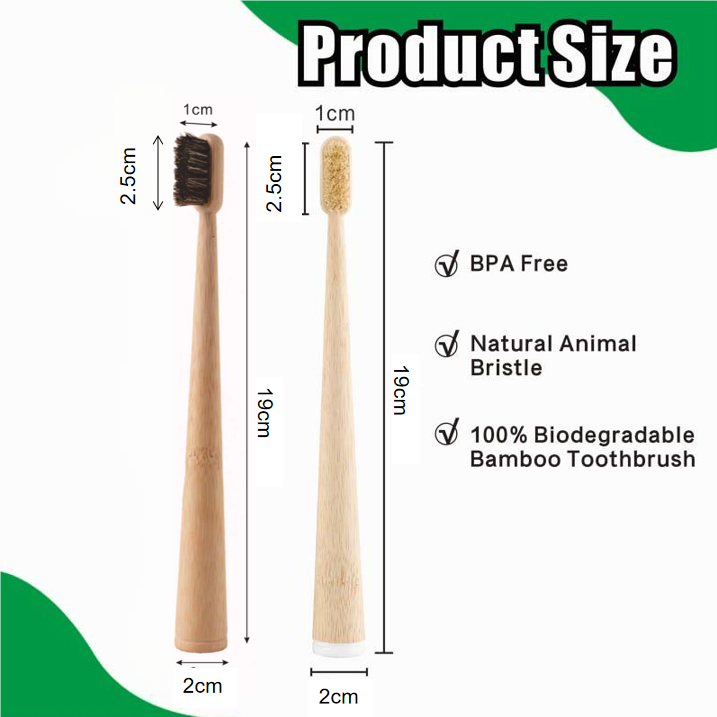 4 Pack Boar Bristle / Horse Br - đánh giá và giá Bamboo Toothbrush