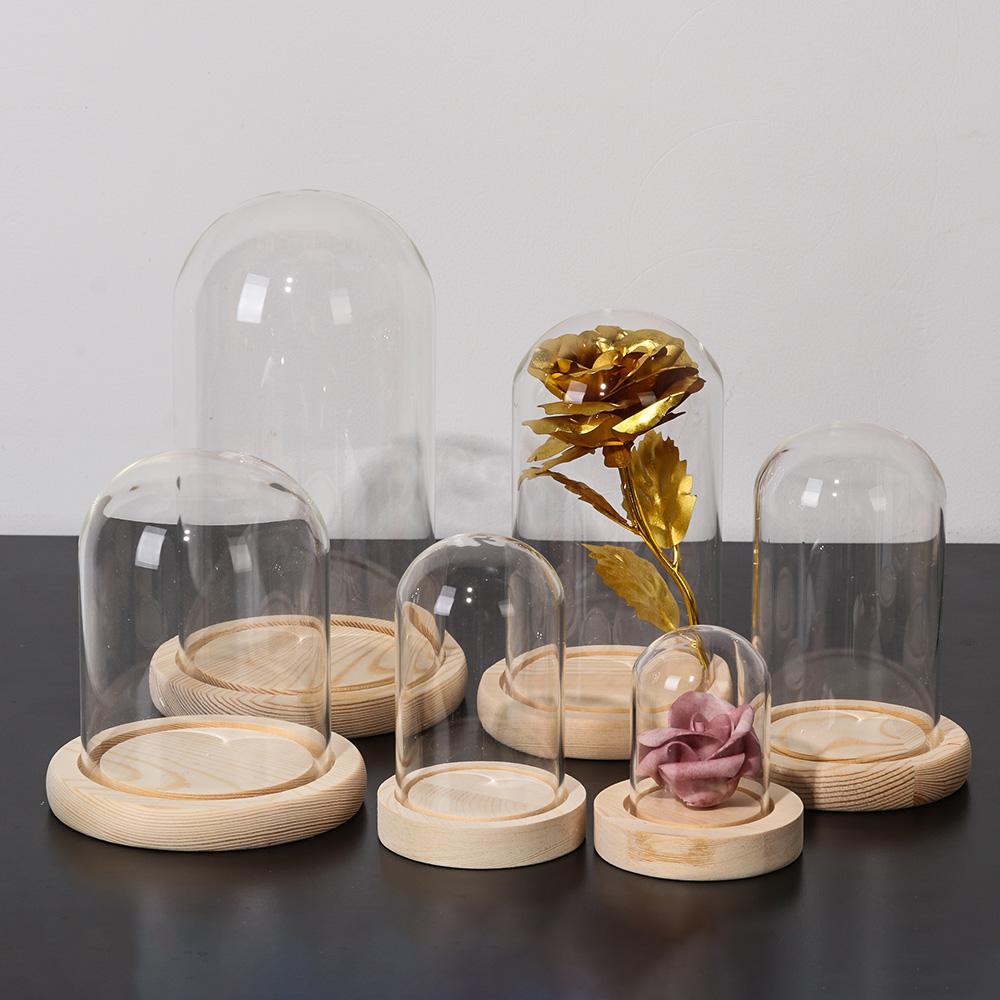 Fairy Lights Home Decor Terrar - đánh giá và giá Reusable Bottle